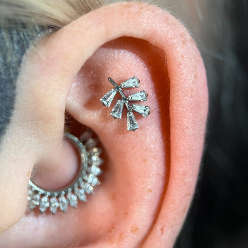 Close up of an ear with a JEWELLED LEAF LABRE.