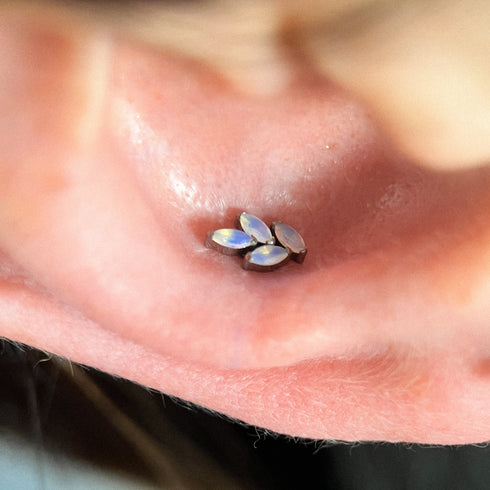 Titanium leafy opal labret stud