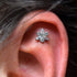 Titanium winter flower labret stud